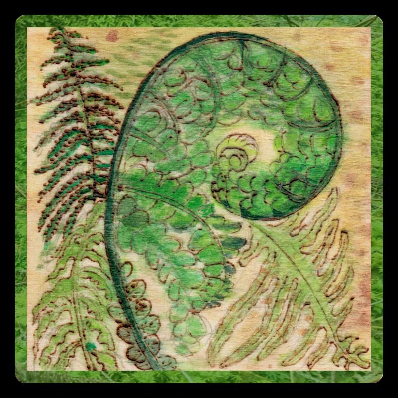 Fern