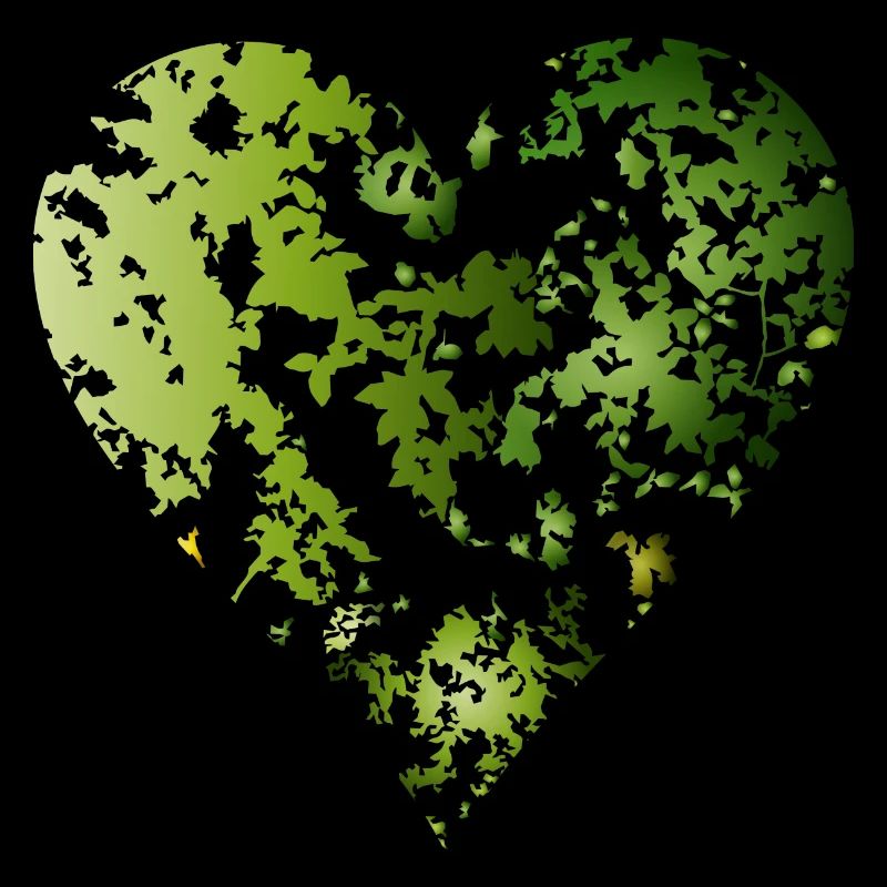 canopée verte d’une forêt en forme de cœur