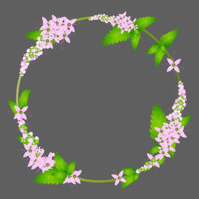 fresh mint leaves and mint flowers as a frame