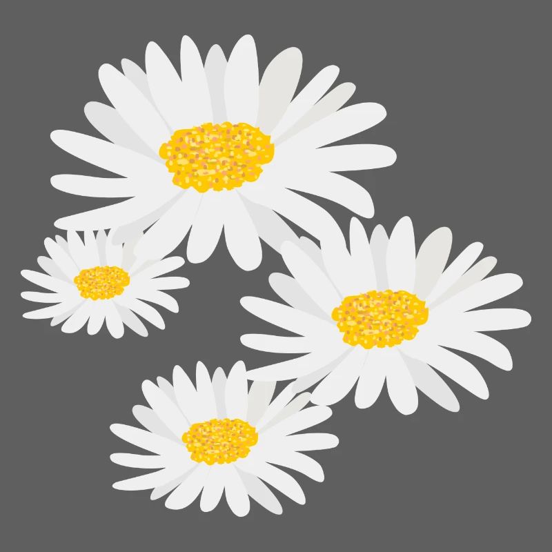 Blume Gänseblümchen