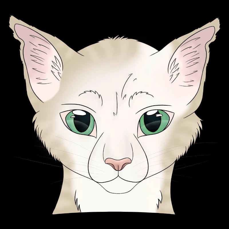 Chat blanc beige