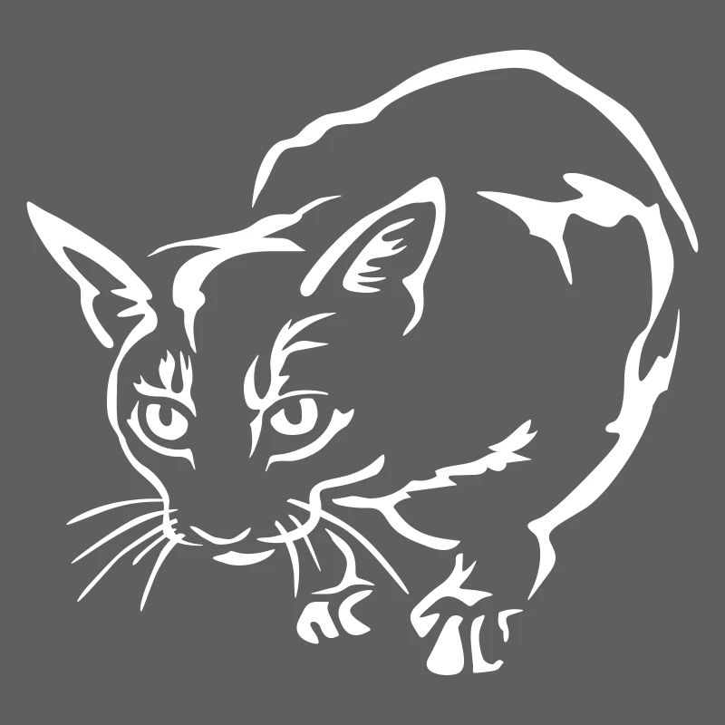Chat Abyssiner « Édition Noire »