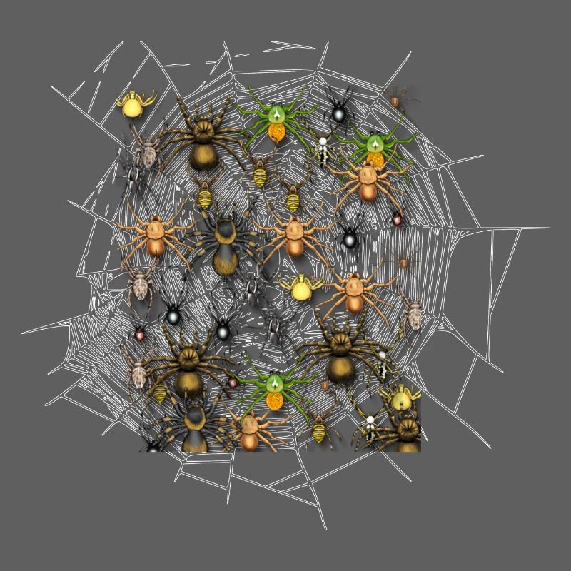 Spider