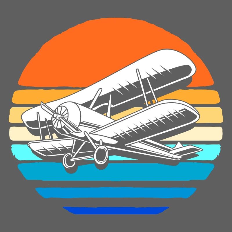 Modellflugzeug Modellflug