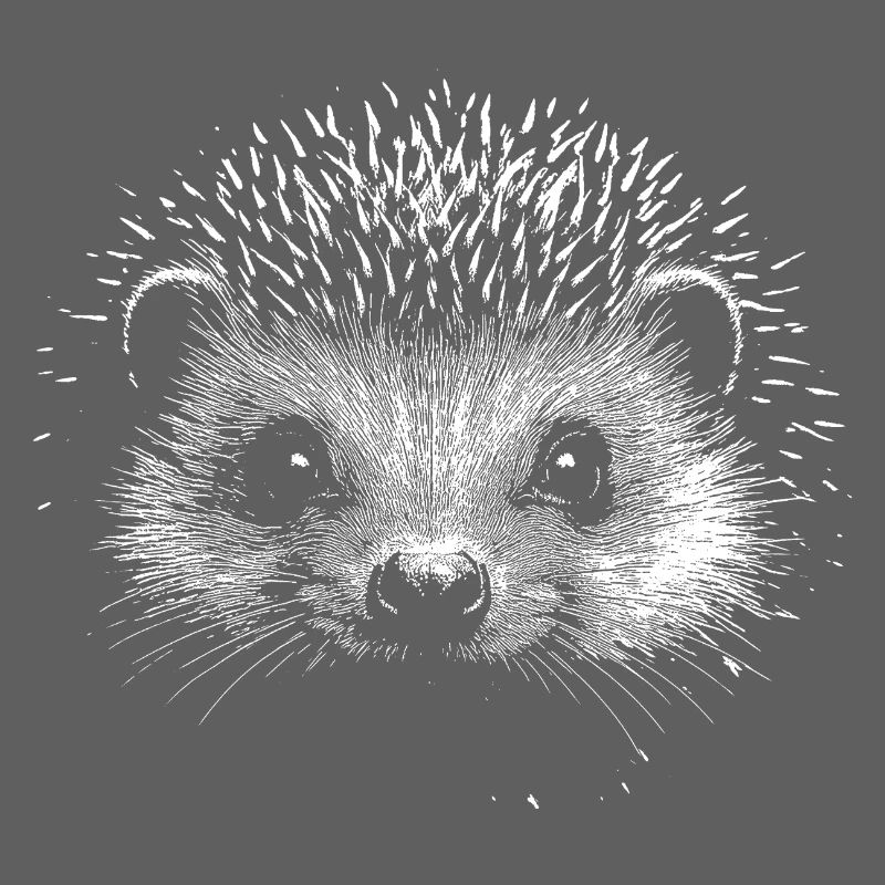 Igel