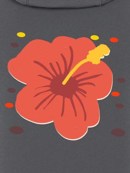 Hibiskus 