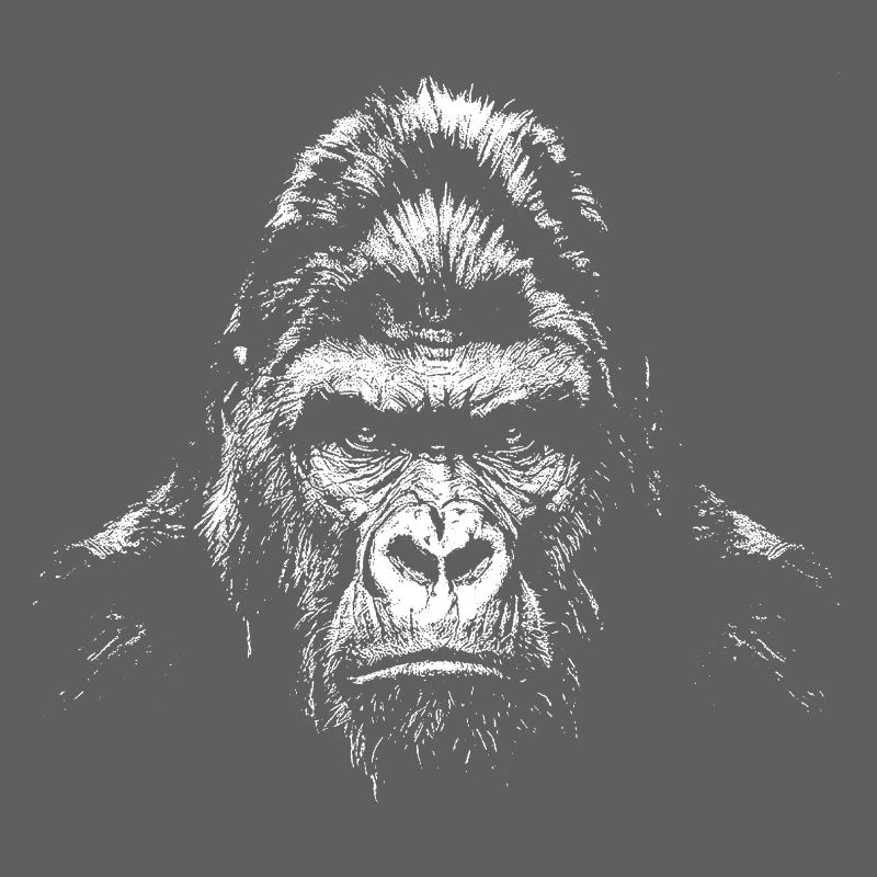 Gorilla