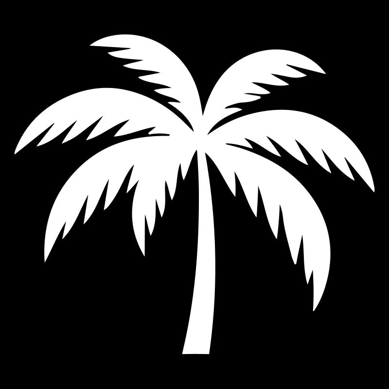 Silhouette de palmier