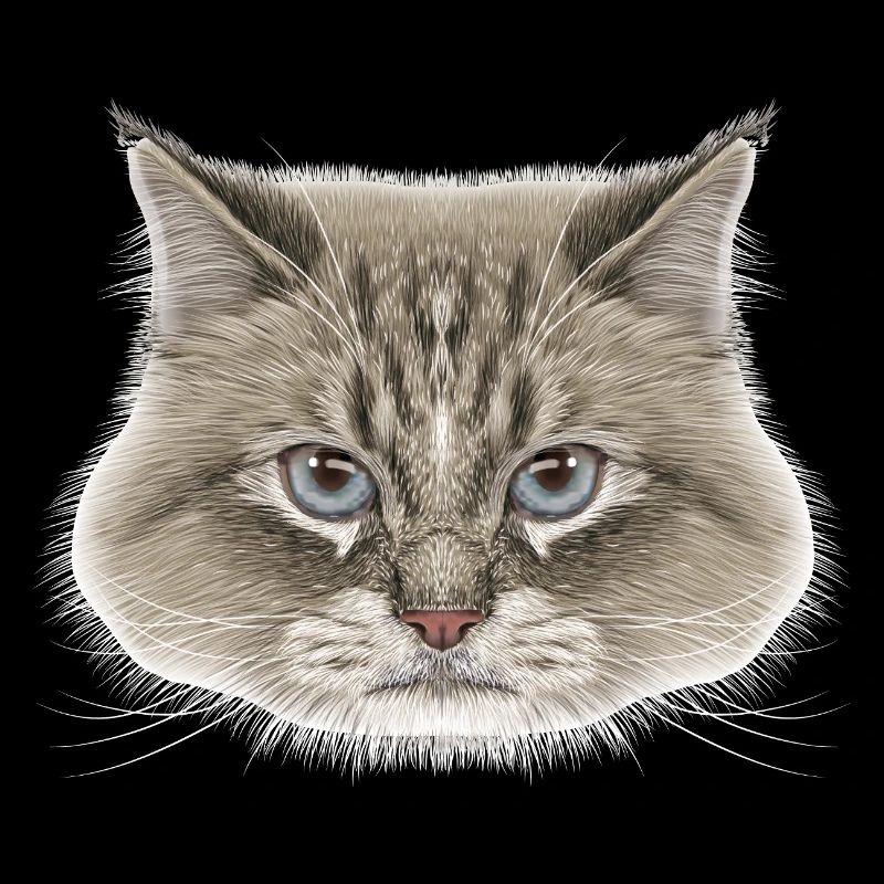 Siberian Cat