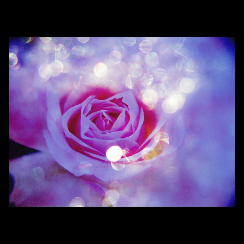 L’exposition multiple lumineuse de Rose