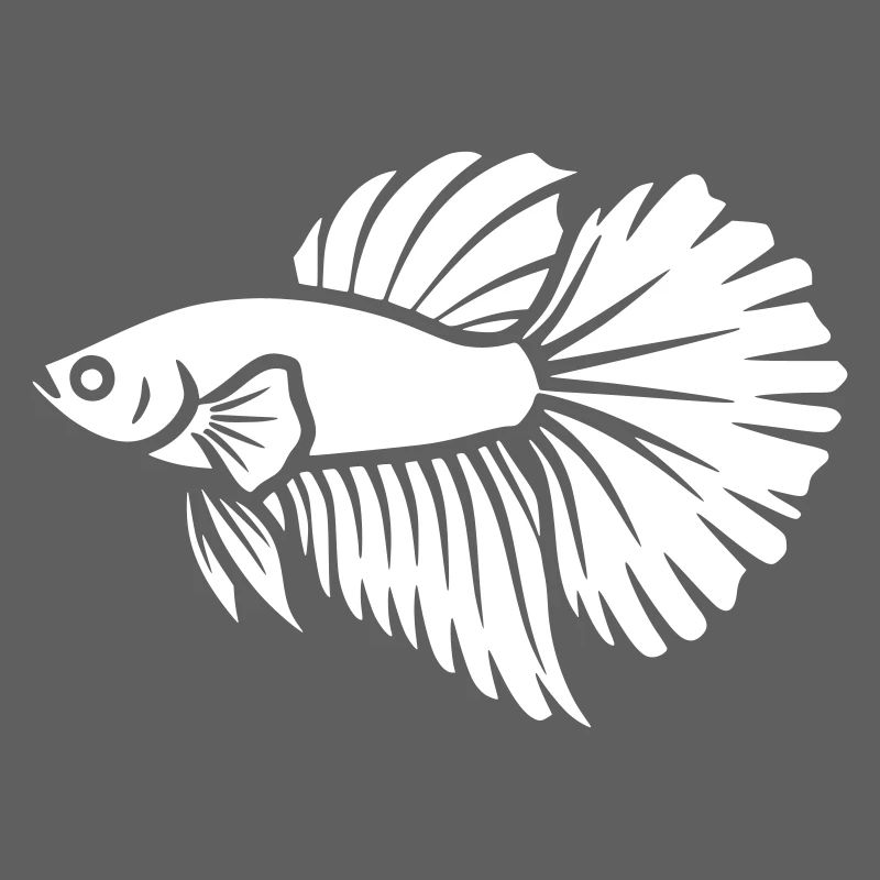 Betta Fish Aquarium Vector