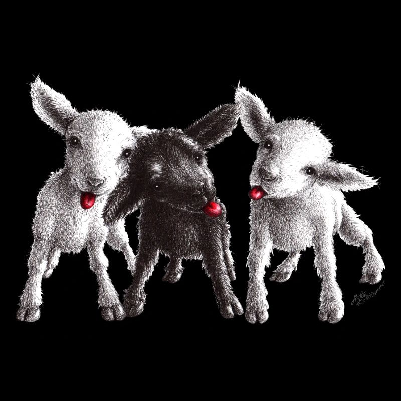 mouton effronté