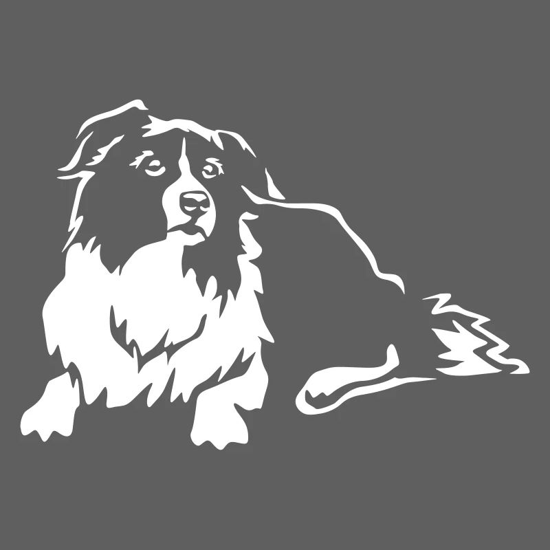 Border Collie "Black Edition"