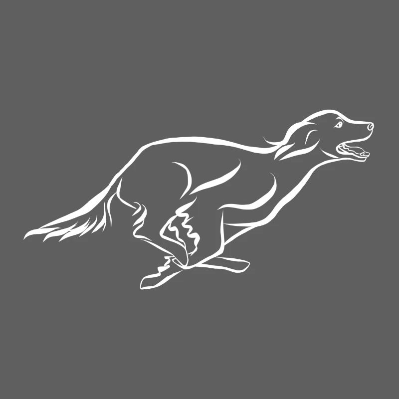 Setter Feldsuche