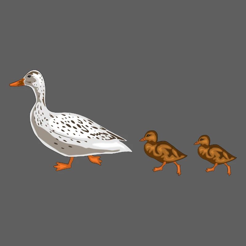 duck