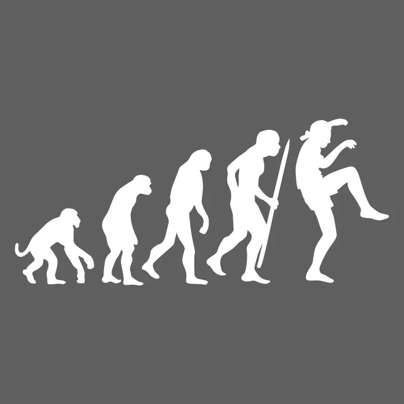 Funny Evolution Karate Vintage 80s Crane Kick