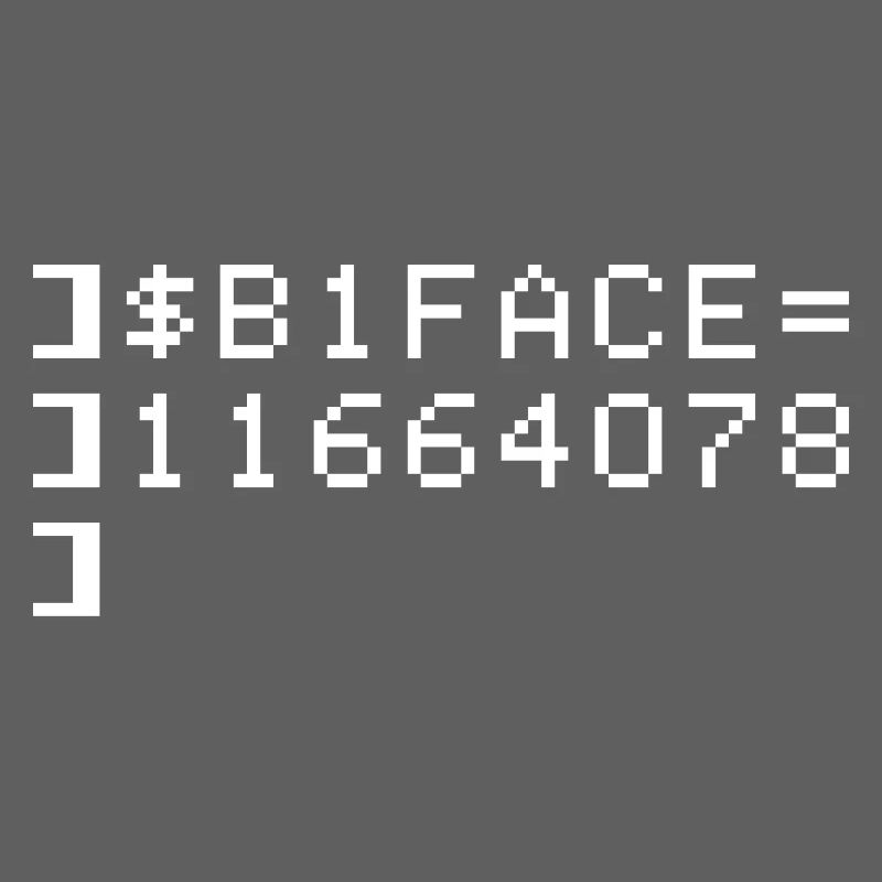B1FACE Biface Code hexadécimal 8 bits Geek