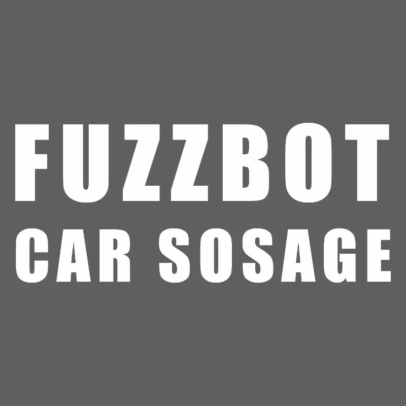 FuzzBot Car Soage