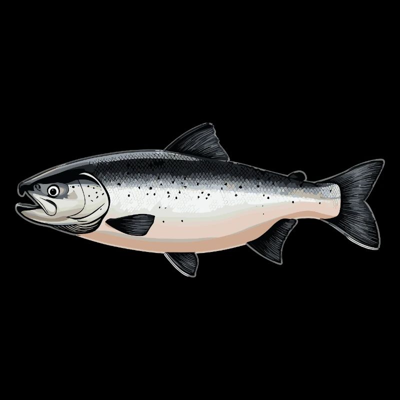 Salmon Salmon