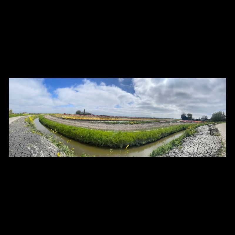 Panoramafeld mit Graben und Blumen