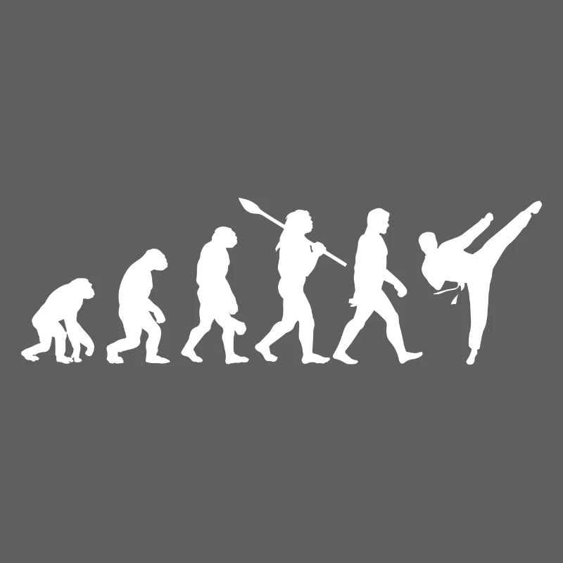 Evolution Fighting Judo Karate MMA Taekwondo