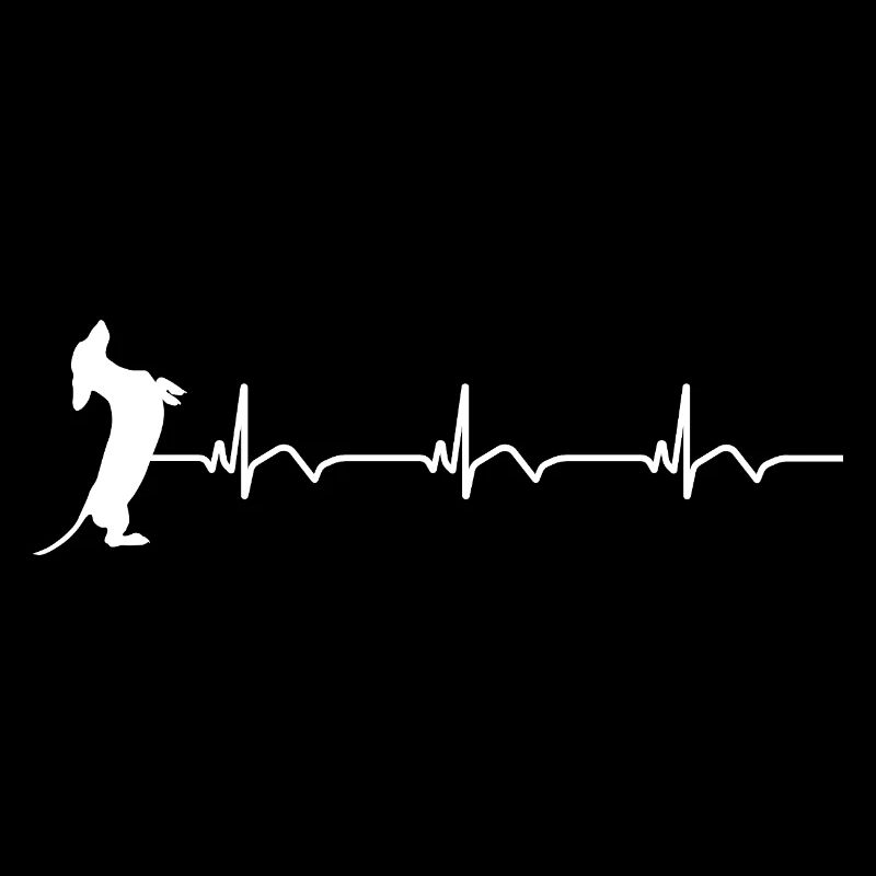 Dackel EKG Herzschlag