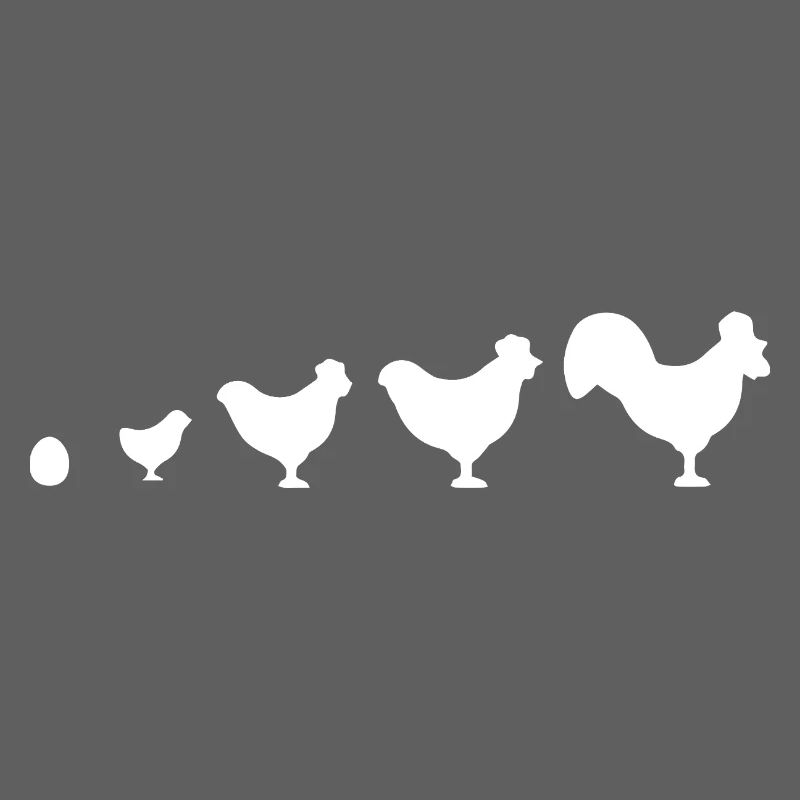 Evolution Bauer Huhn Hahn lustig