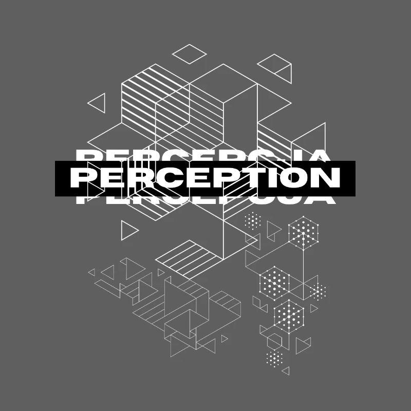 Perception Geometry Mystique