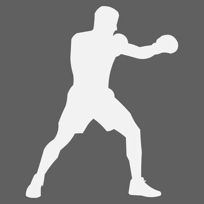 Boost de puissance de la Boxsilhouette