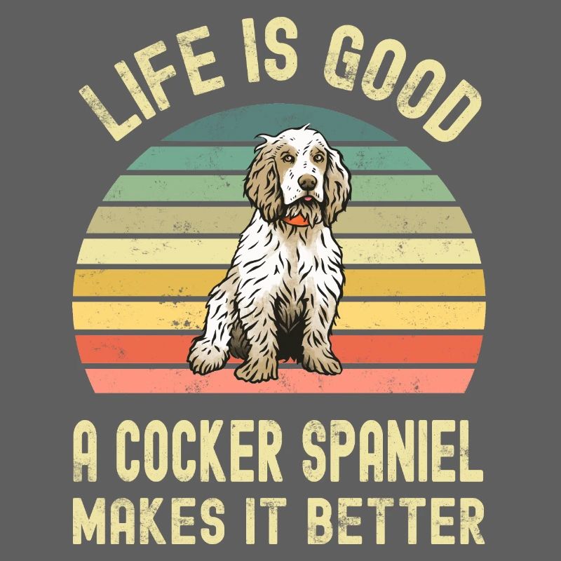 Hund Cocker Spaniel