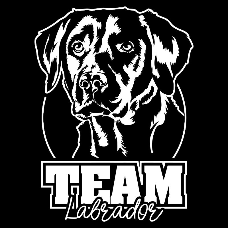 Équipe Labrador Retriever Labbi Chiens Chien Wilsigns