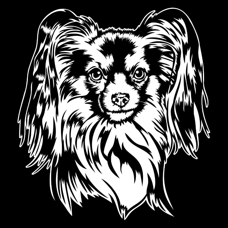 Papillon Portrait Hunde Hund Wilsigns