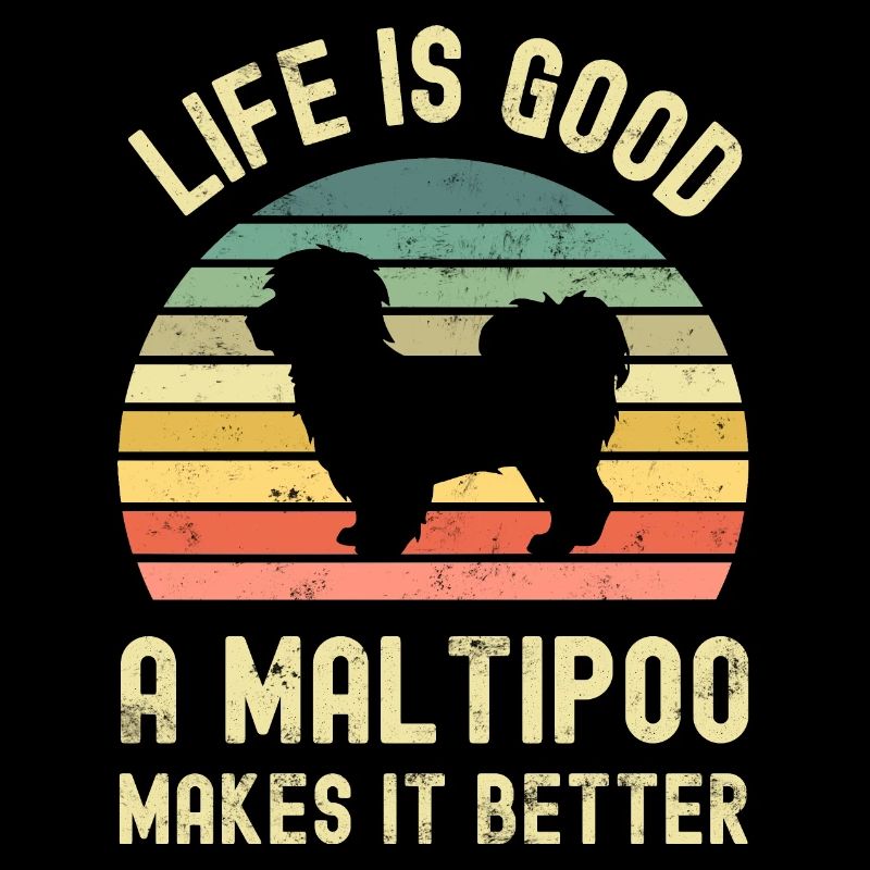 Chien Maltipoo