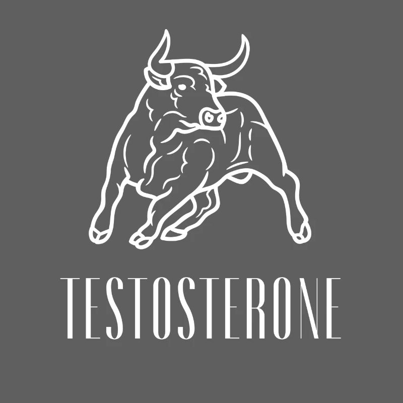 Testosteron Bull Strength Gym Mindset Tee