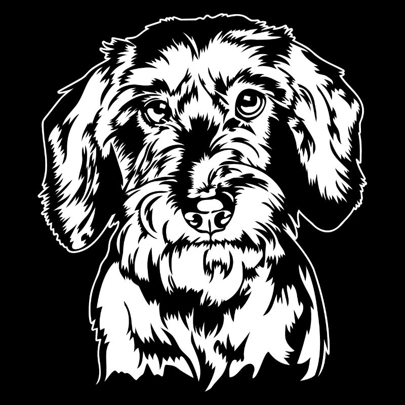 Teckel à poil dur Teckel Portrait Chien Wilsigns