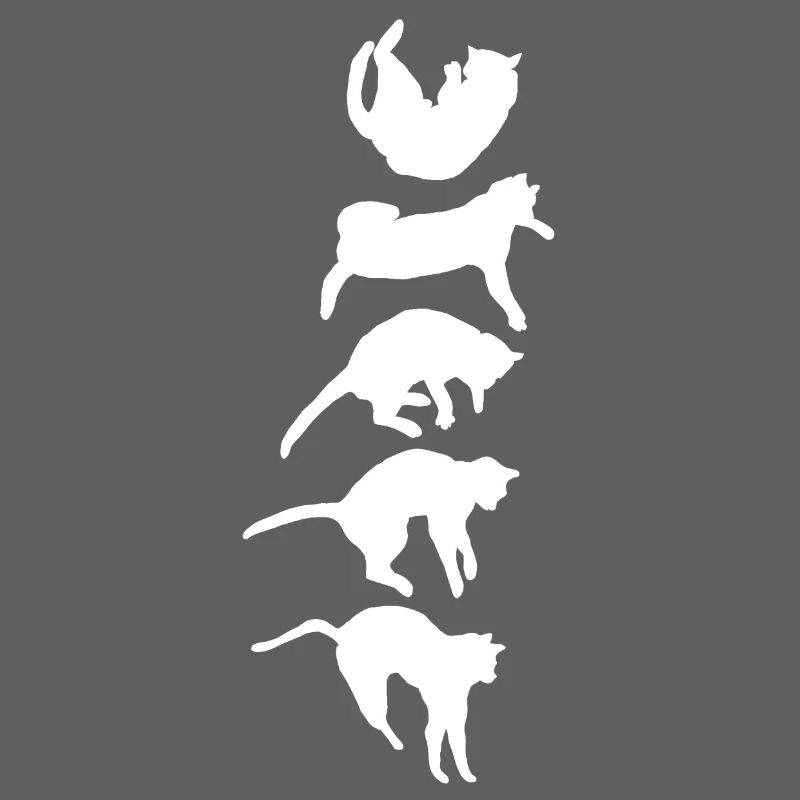 Aufrichtreflex der fallenden Katze