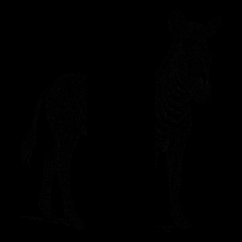 Zebra nero