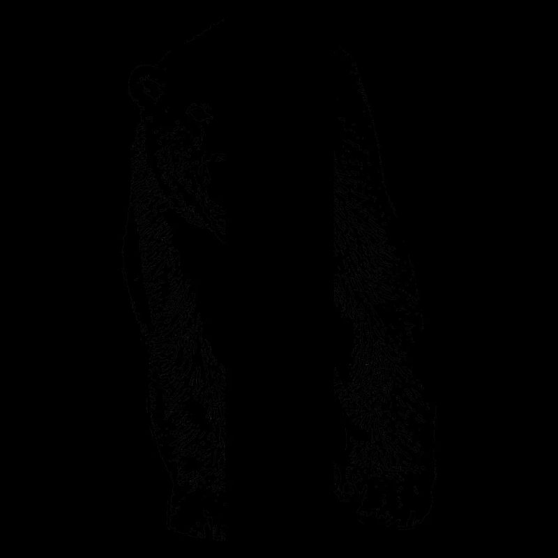 Polar Bear - Eisbär