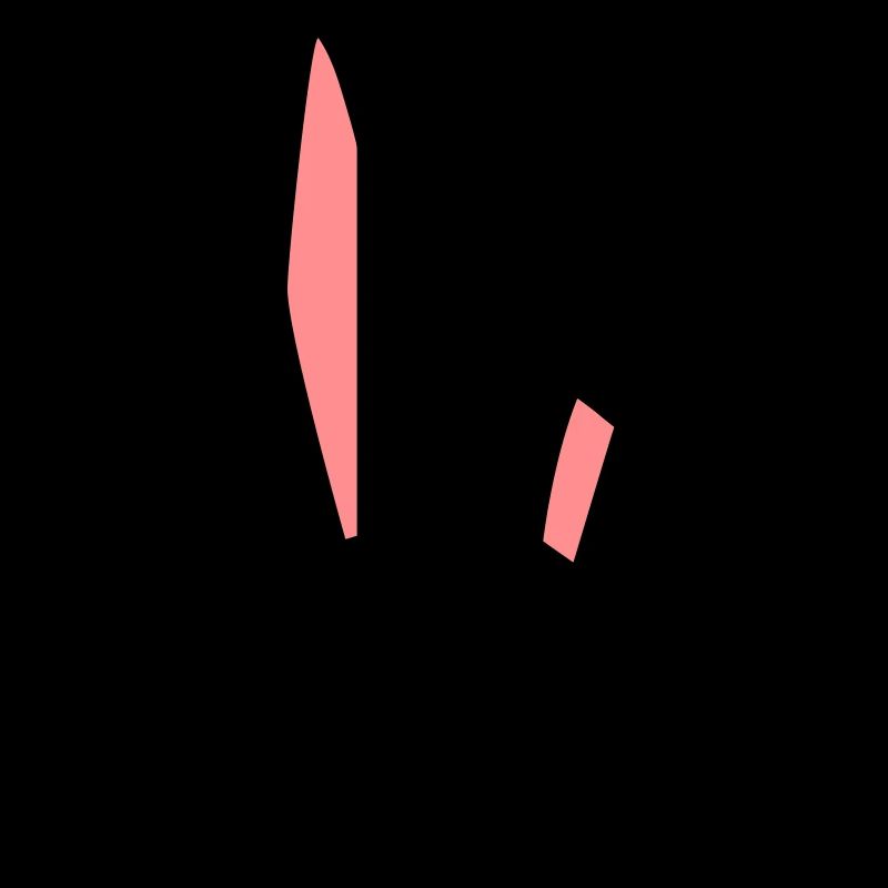 Rabbit ears bicolored