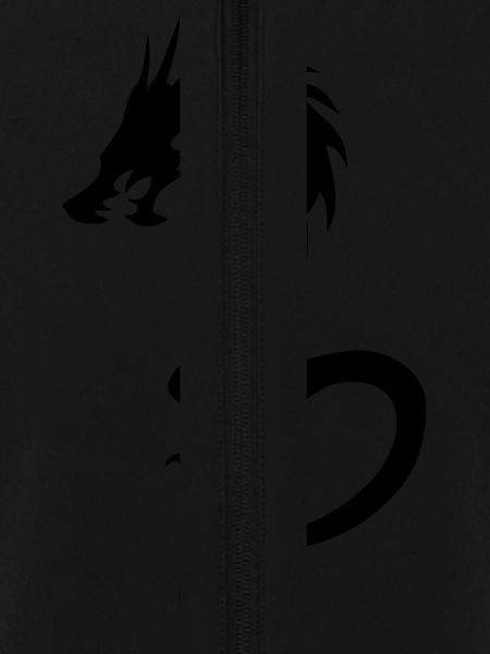 Drache