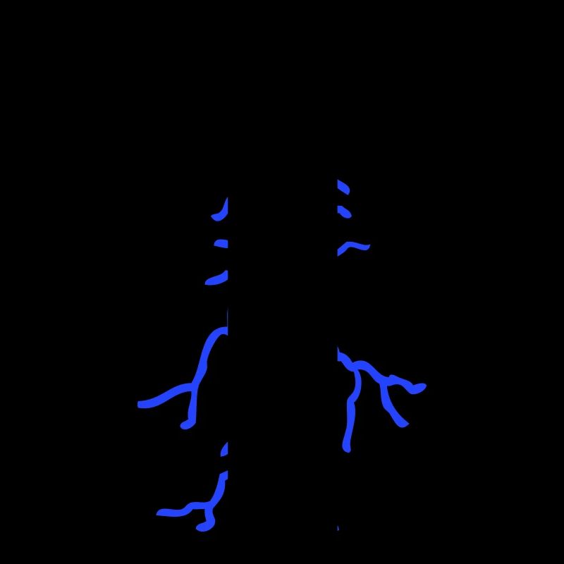 Flash