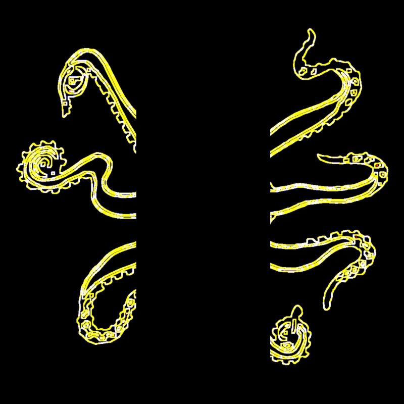 NEON OCTOPUS