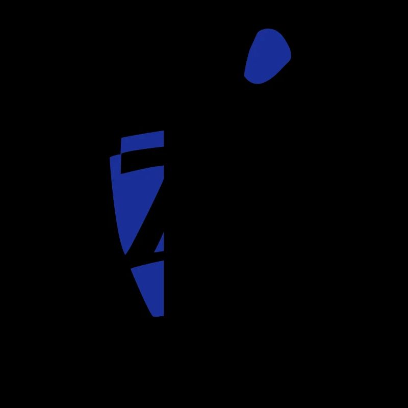 kite_n7_vec_2 fr