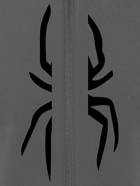 Spinne