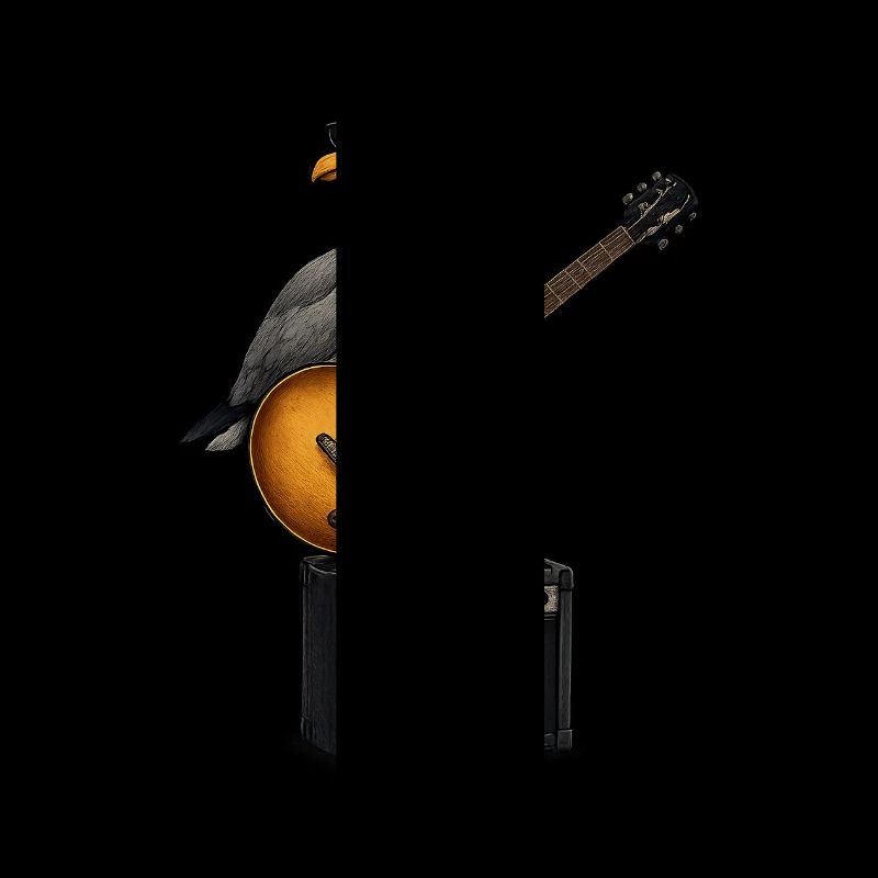 BBB Seagull Busker 1