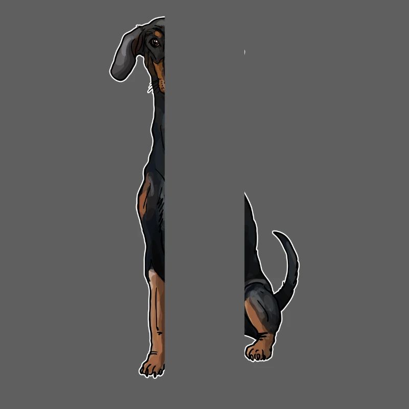Dobermann