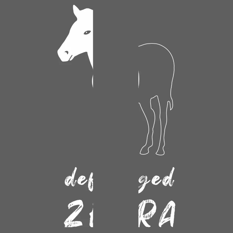 Defragged Zebra Computer Scientist Admin Geek Gift