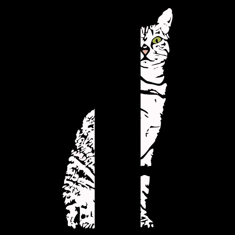 Chat Blanc Blanc Chats Chaton mignon