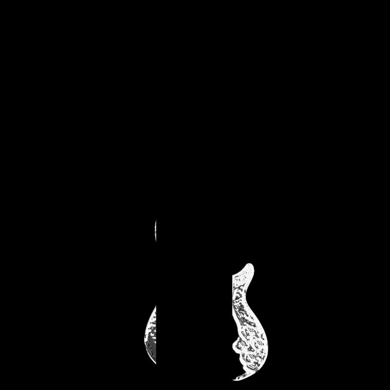 Basse