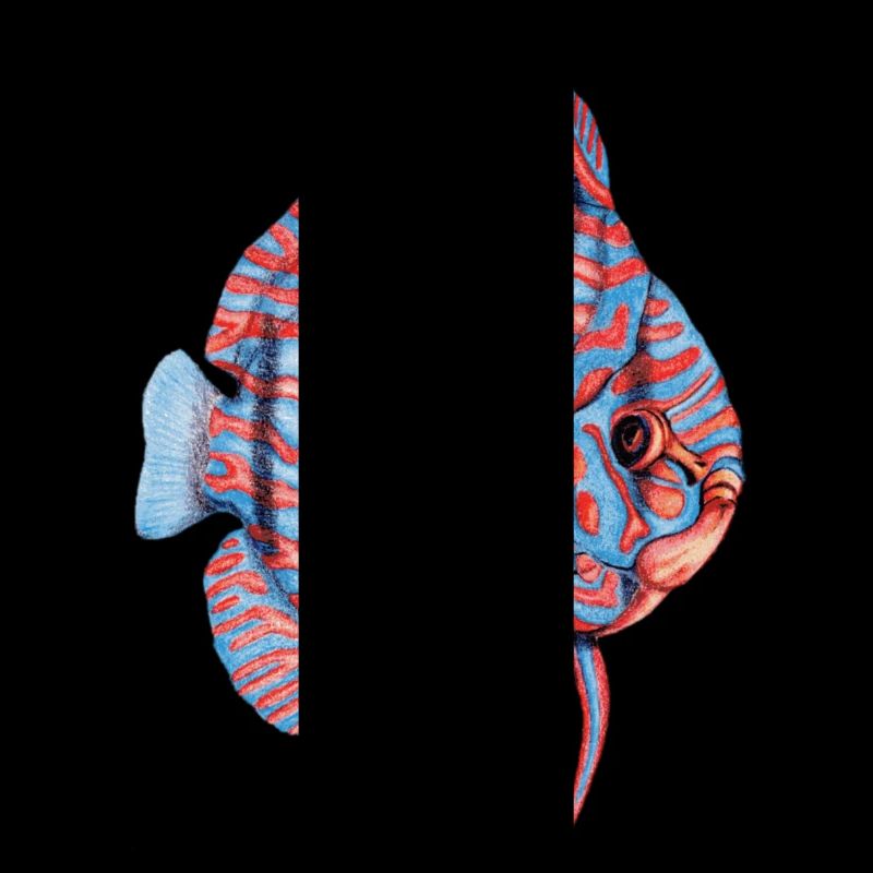 Diskus